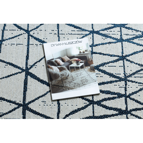 Vaip COLOR 47278306 SISAL Jooned, kolmnurgad, beež / sinine - Image 2